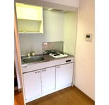 東京都新宿区西五軒町 賃貸マンション 1R